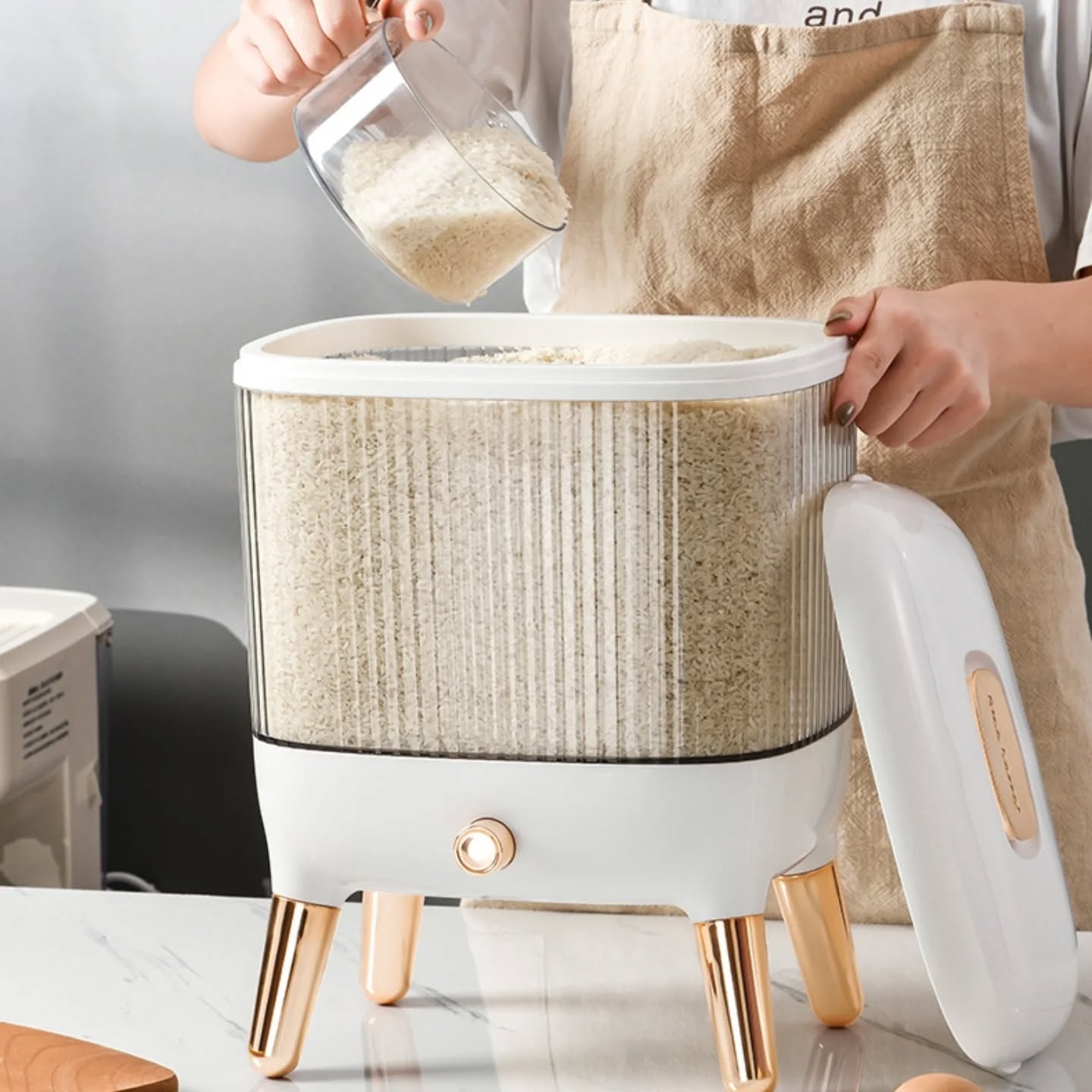 20Kg Rice Storage Container