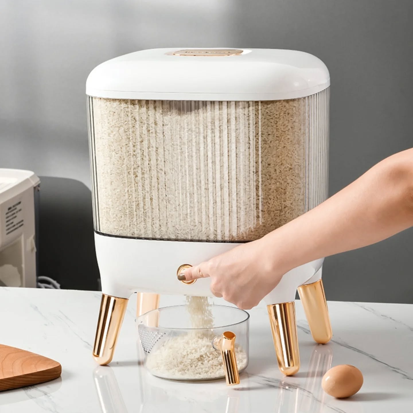 20Kg Rice Storage Container